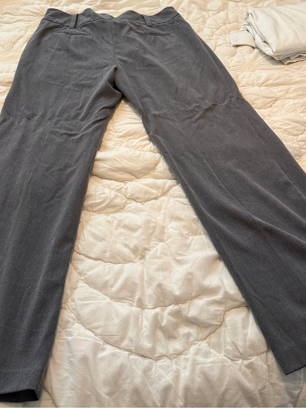 Lane Bryant Charcoal Gray Wide-Leg Pants